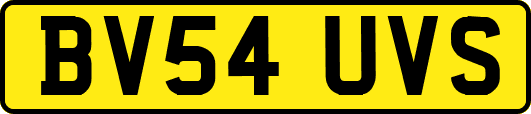 BV54UVS