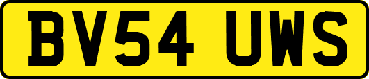 BV54UWS
