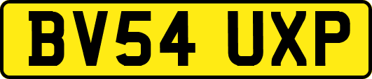 BV54UXP