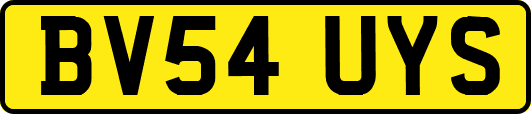 BV54UYS