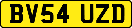 BV54UZD