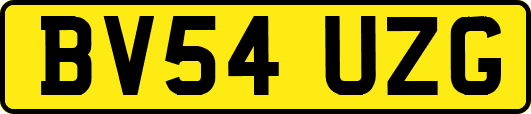 BV54UZG