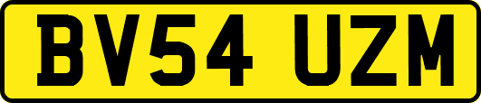 BV54UZM