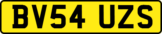 BV54UZS