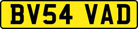 BV54VAD
