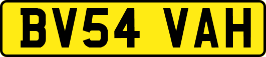 BV54VAH