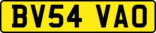 BV54VAO