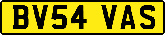 BV54VAS