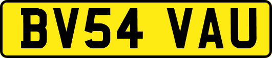 BV54VAU