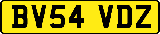 BV54VDZ
