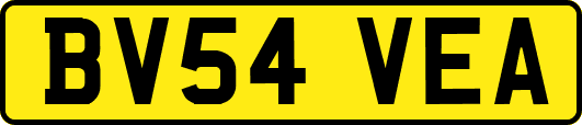 BV54VEA