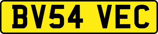 BV54VEC