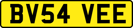 BV54VEE