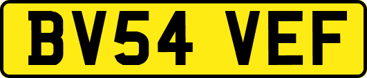 BV54VEF