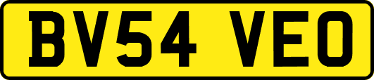 BV54VEO