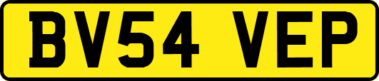 BV54VEP