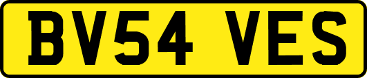 BV54VES