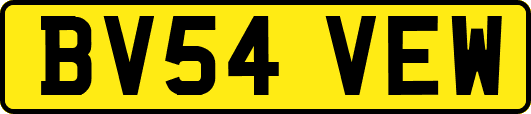 BV54VEW