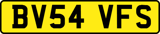 BV54VFS