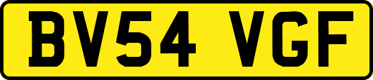 BV54VGF
