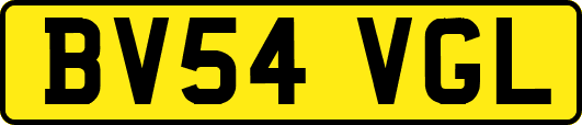 BV54VGL