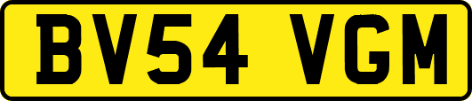 BV54VGM