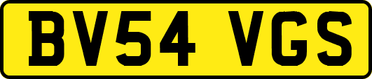 BV54VGS