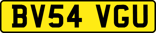 BV54VGU