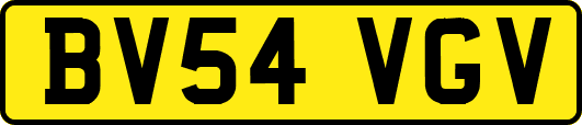BV54VGV
