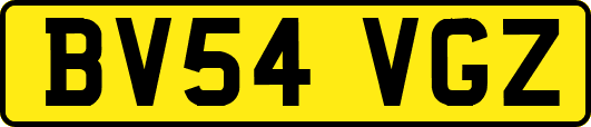 BV54VGZ