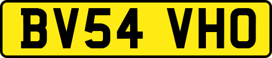 BV54VHO