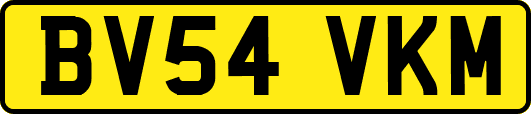 BV54VKM