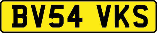 BV54VKS