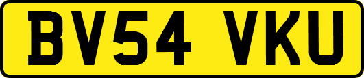 BV54VKU