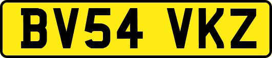 BV54VKZ
