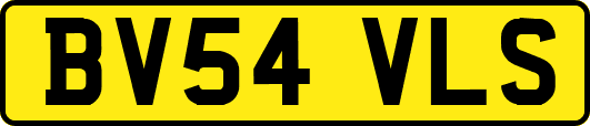 BV54VLS