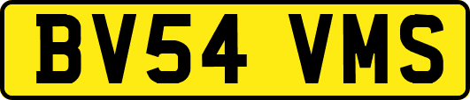 BV54VMS