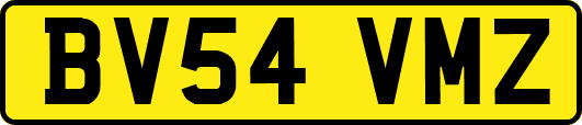BV54VMZ