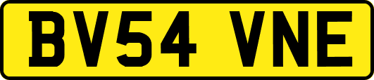 BV54VNE