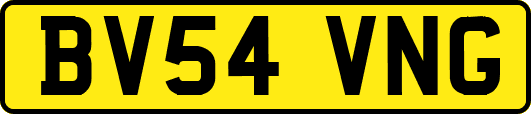 BV54VNG