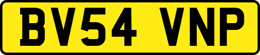 BV54VNP