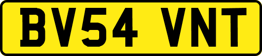 BV54VNT