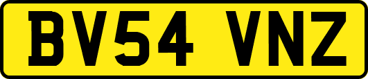 BV54VNZ