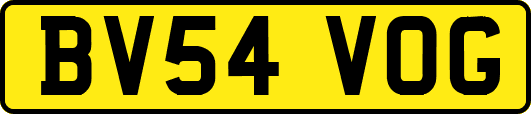 BV54VOG
