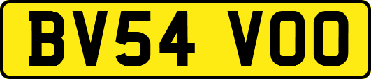 BV54VOO