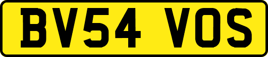 BV54VOS