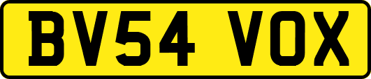BV54VOX
