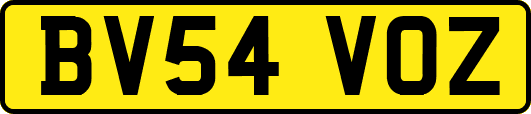 BV54VOZ