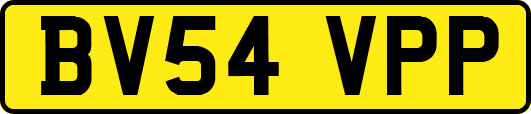 BV54VPP