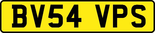 BV54VPS